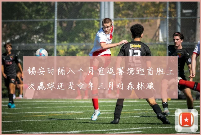 锡安时隔八个月重返赛场迎首胜上次赢球还是今年三月对森林狼