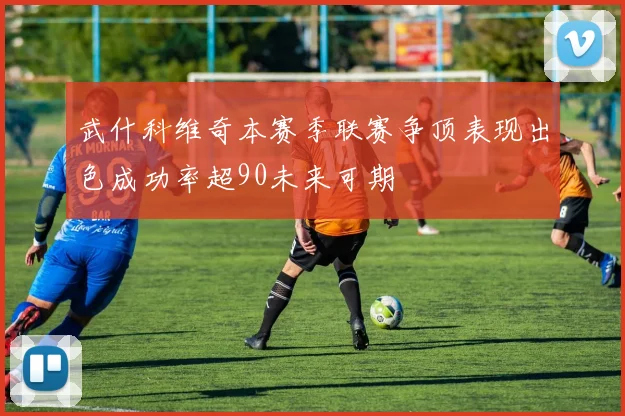 武什科维奇本赛季联赛争顶表现出色成功率超90未来可期