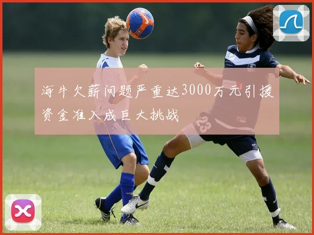 海牛欠薪问题严重达3000万元引援资金准入成巨大挑战
