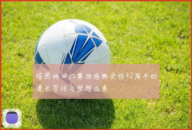 塔图姆回归赛场感慨受伤42周半的漫长等待与梦想成真