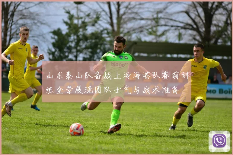 山东泰山队备战上海海港队赛前训练全景展现团队士气与战术准备