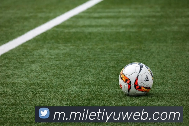 米乐体育品牌故事