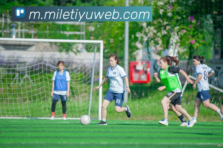 米乐体育服务体系