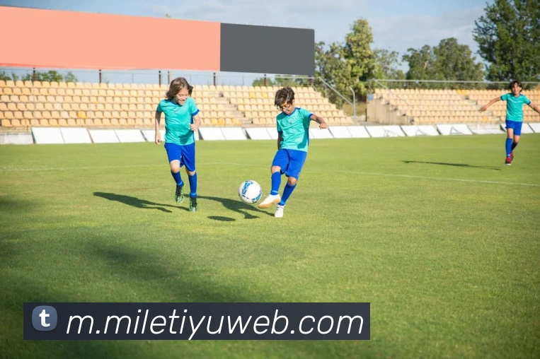 米乐体育APP 体育赛事宣传图